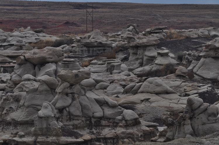 bisti wilderness